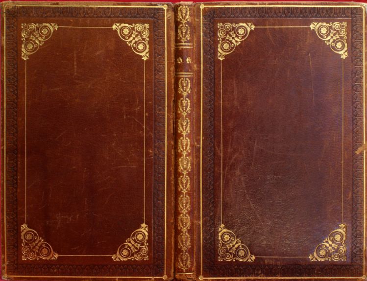 Plik:Narożniki w formie złoconych, wolutowych ozdobników na oprawie romantycznej, XIX w., Biblioteka Polska w Paryżu, fot. A. Wagner.jpg