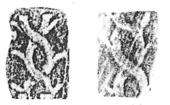 Plik:Gałęziowy ornament, Przykłady tłoków późnogotyckich z ornamentem gałęziowym, Niemcy, kon. XV w. - pocz. XVI w., wg Schwenke, Schunke 1979.jpg