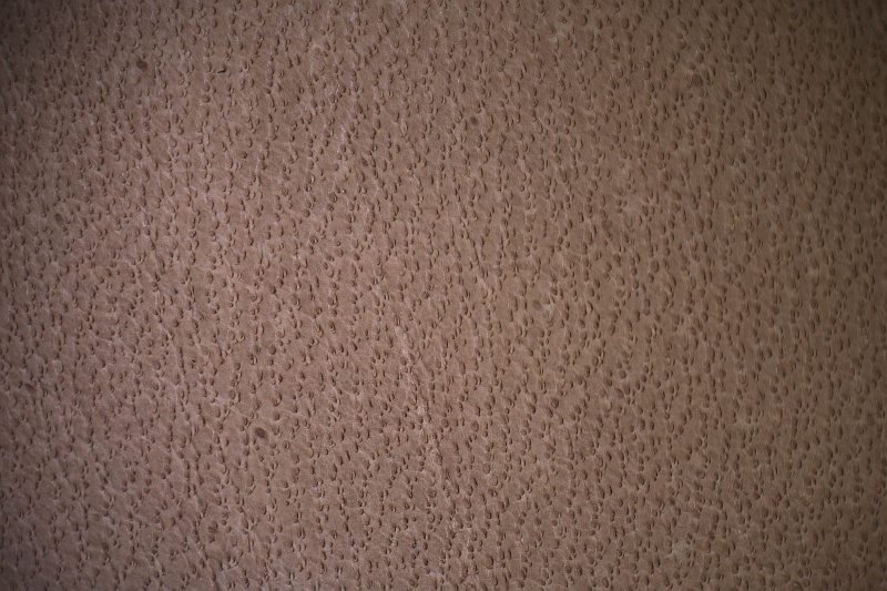 Plik:Skóra cielęca.jpeg