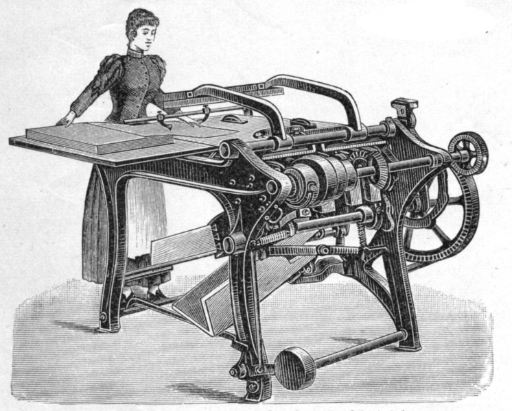 Plik:Falcerka nożowa.jpg