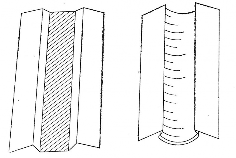 Plik:Grzbiet łamany.jpg