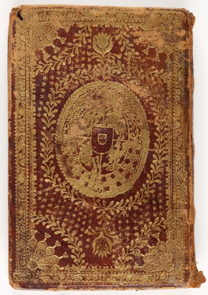 Plik:Branchages 2.jpg