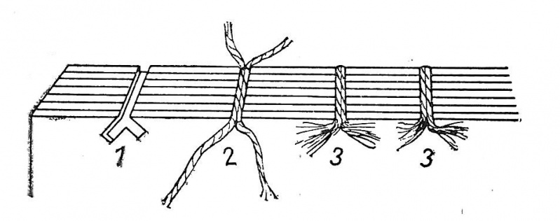 Plik:Jaskółczy ogon.jpg
