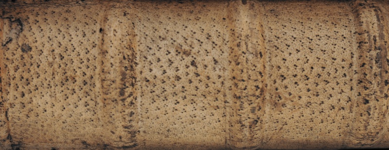 Plik:Skóra świnska.jpg