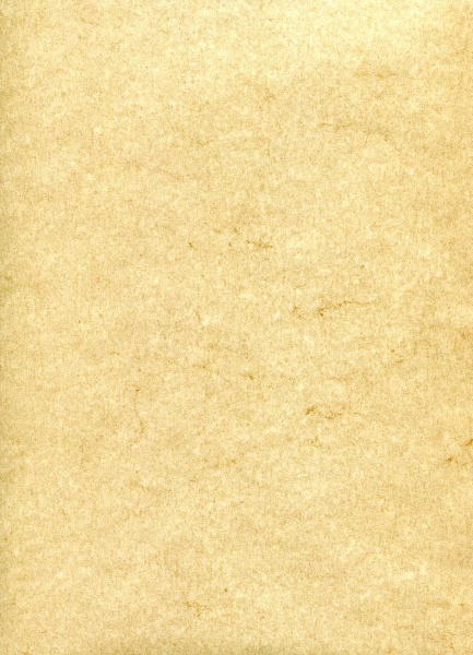 Plik:Elefantenhaut 2.jpg