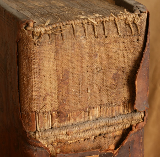 Plik:Międzyzwięźla 1.jpg