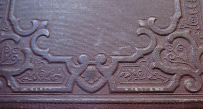 Plik:Luty 2013 035.jpg