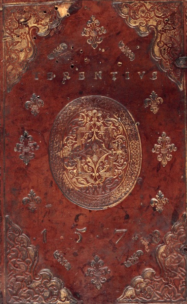 Plik:Pellegrino1, Włocławek.jpg