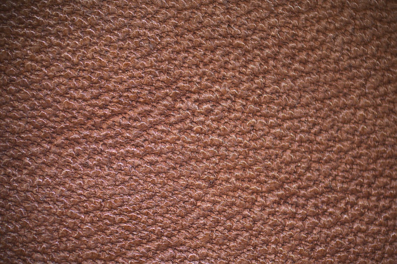 Plik:Skóra bydlęca.jpg