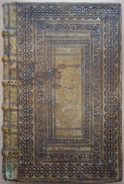 Plik:Ramowa kompozycja, oprawa renesansowa, 2 poł. XVI w., BWP Książnica Kopernikańska, Toruń, fot. A. Wagner.jpg