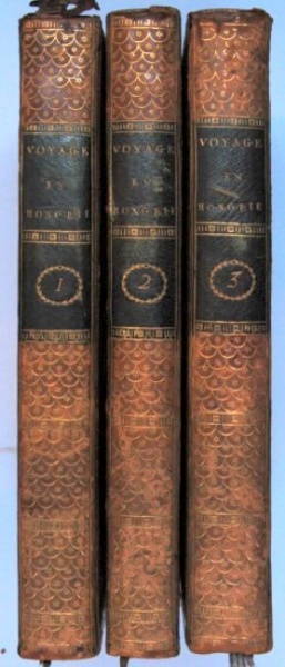 Plik:Łukowy ornament na grzbietach opraw klasycystycznych, 1 ćw. XIX w., Biblioteka Polska w Paryżu, fot. A. Wagner.jpg