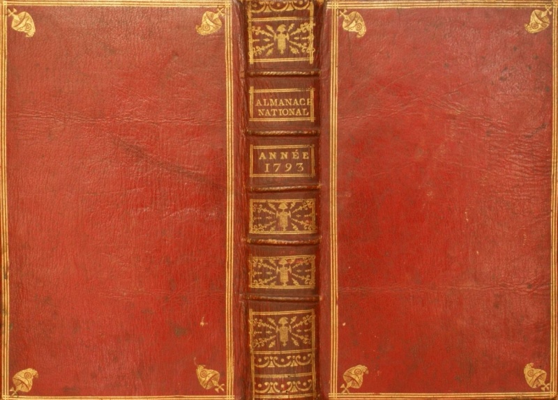 Plik:Rózga liktorska1.jpg