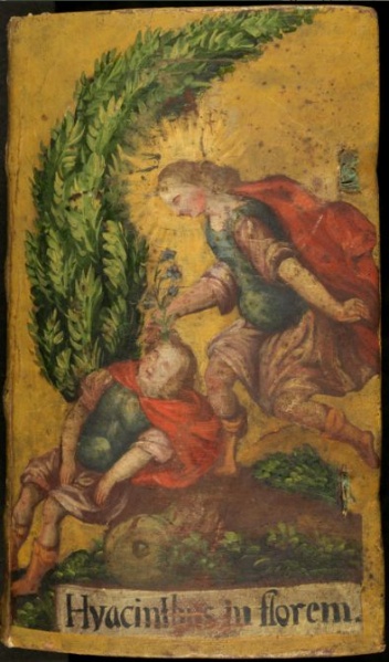 Plik:Malowane oprawy, Helwing G. A., Herbarium vivum plantarum sponte in Prussia nascentium. T. 1, Prusy ok. 1700, BN, POLONA, mały plik.jpg