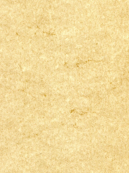 Plik:Elefantenhaut 3.jpg