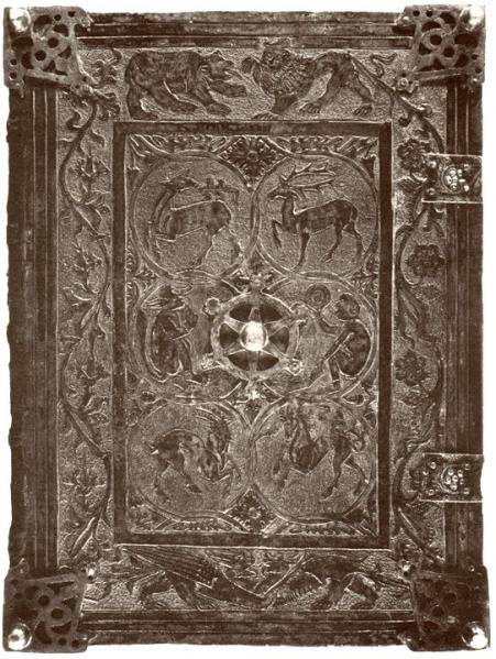 Plik:Małpa 1bac.jpg