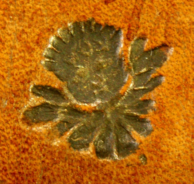 Plik:Główka anielska 8.jpg