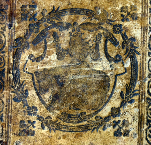 Plik:Niedźwiedź 2.jpg