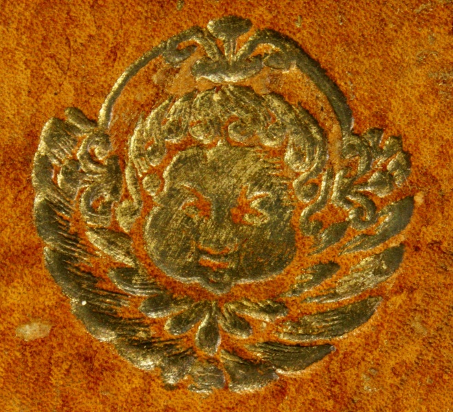 Plik:Główka anielska 4.jpg