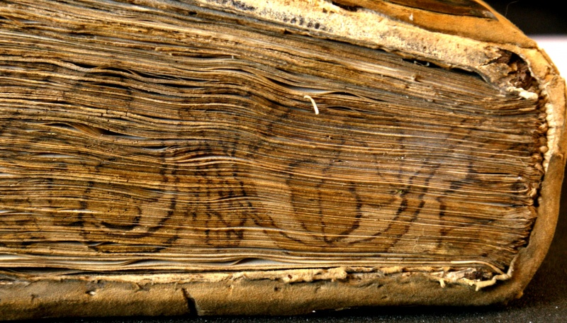 Plik:Malowanie obcięć 2.jpg