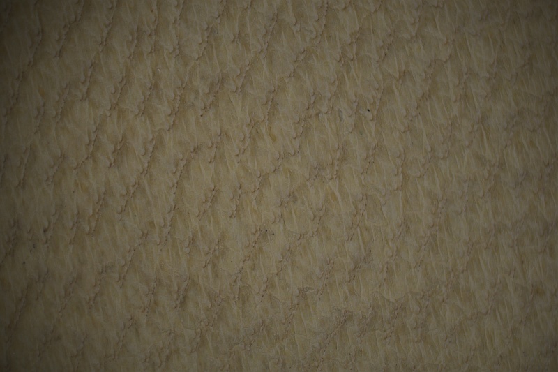 Plik:Skóra kozia.jpg