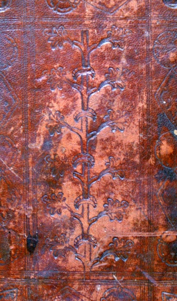 Plik:Floralne dekoracje 1.jpg