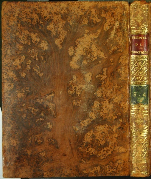 Plik:Marmoryzacja opraw 1.jpg