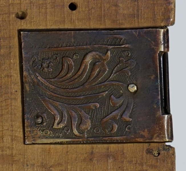 Plik:Akantu liść 4.jpg