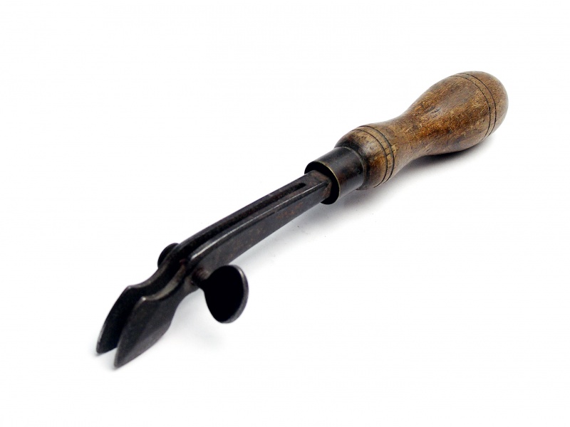 Plik:Strychulec podwójny regulowany.jpg