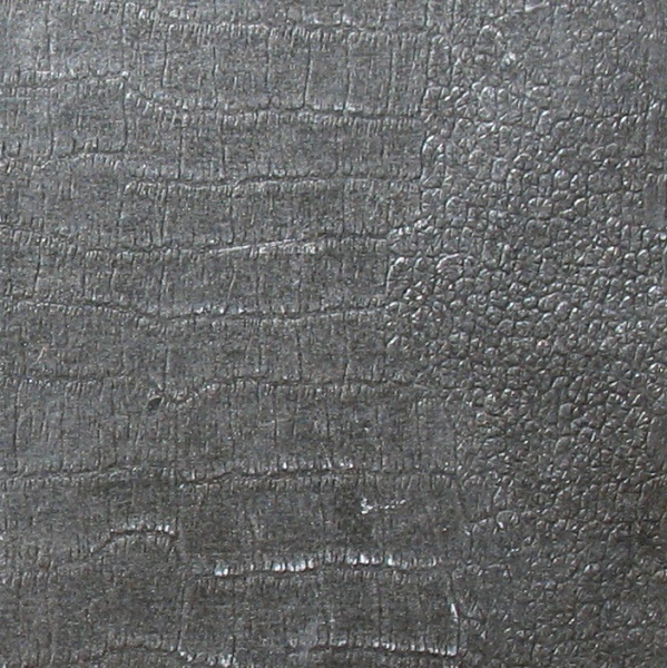 Plik:Kwiecień 2012 008.jpg