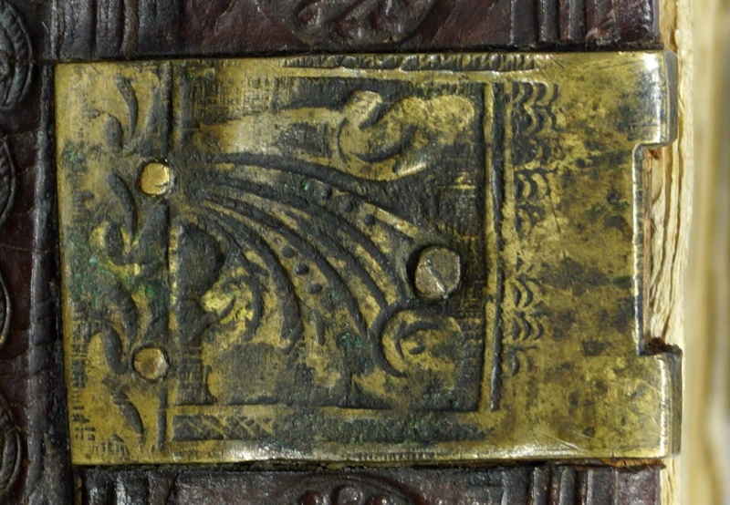 Plik:Akantu liść 3.jpg