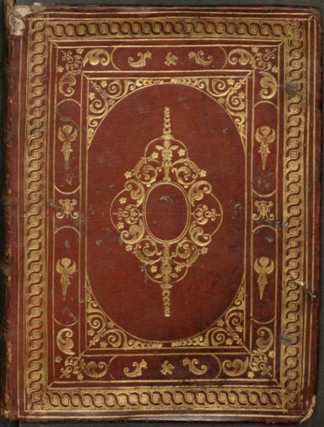 Plik:Gilosz, herma, perełkowanie.jpg