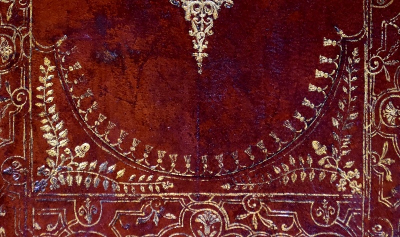 Plik:Branchages 1.jpg