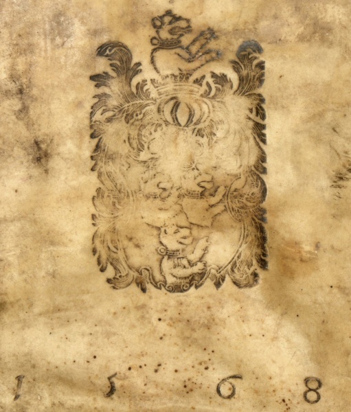 Plik:Niedźwiedź 1.jpg