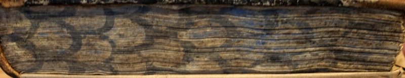 Plik:Malowane obcięcia kart 1.jpg